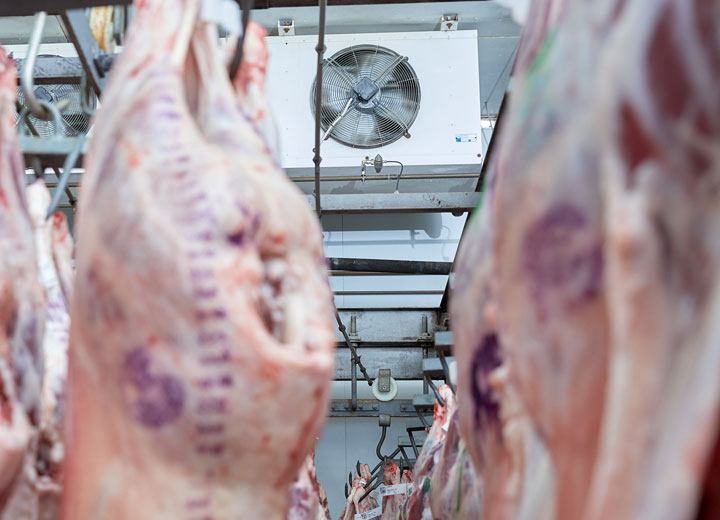 Humidification of abattoirs