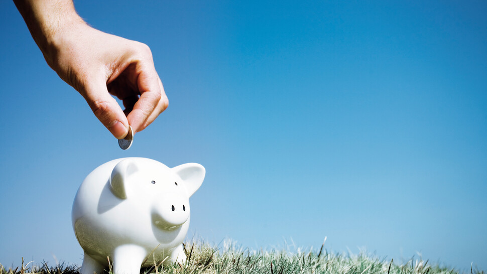 Piggy bank savings